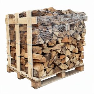 Buchen-Brennholz 30 cm kammergetrocknet auf Palette