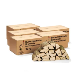 Brennholz Buche Hainbuche 240kg